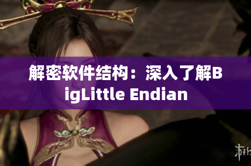 解密软件结构：深入了解BigLittle Endian