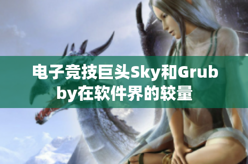 电子竞技巨头Sky和Grubby在软件界的较量