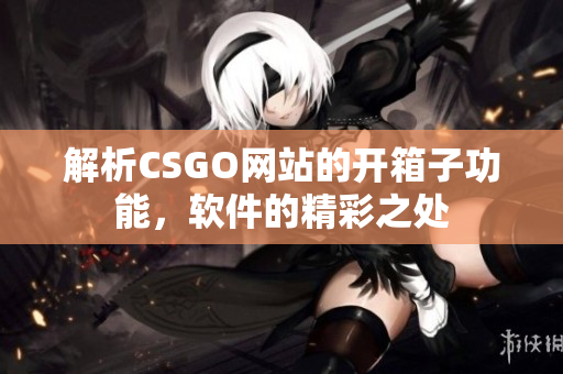 解析CSGO网站的开箱子功能，软件的精彩之处