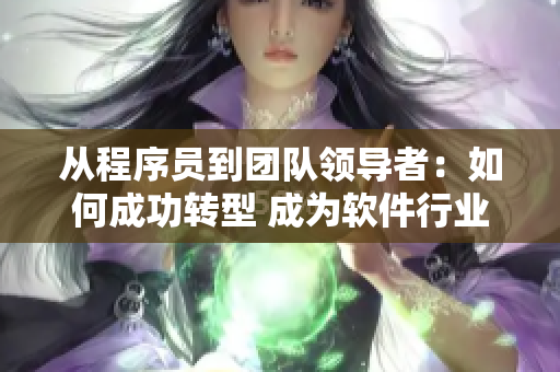 从程序员到团队领导者：如何成功转型 成为软件行业领域的领导力高手