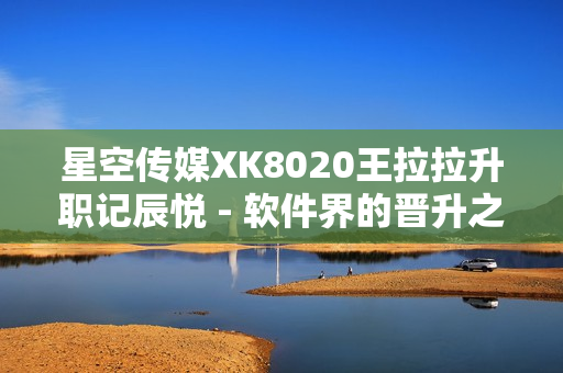 星空传媒XK8020王拉拉升职记辰悦 - 软件界的晋升之路