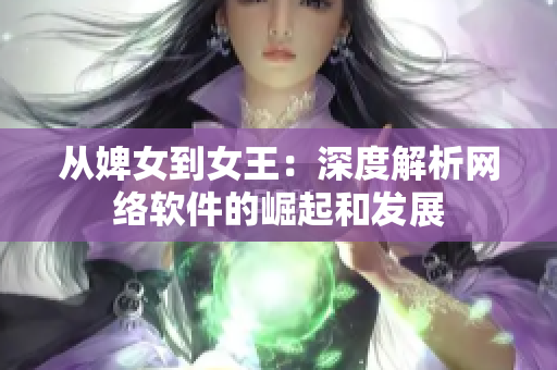 从婢女到女王：深度解析网络软件的崛起和发展