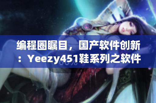 编程圈瞩目，国产软件创新：Yeezy451鞋系列之软件开发者版