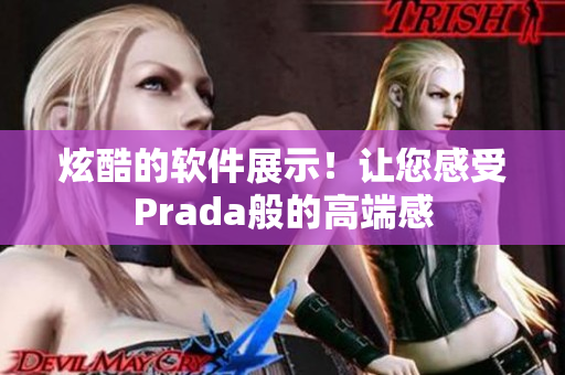 炫酷的软件展示！让您感受Prada般的高端感