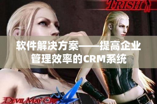 软件解决方案——提高企业管理效率的CRM系统