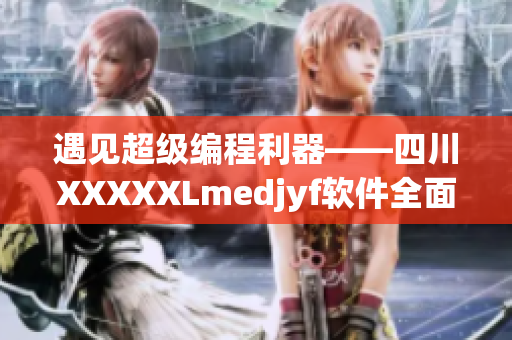 遇见超级编程利器——四川XXXXXLmedjyf软件全面评测