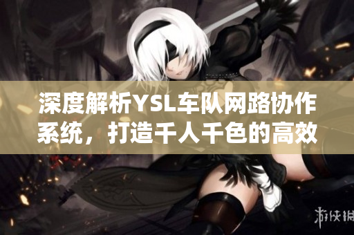 深度解析YSL车队网路协作系统，打造千人千色的高效软件AE86V9