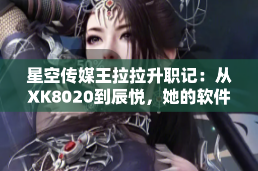 星空传媒王拉拉升职记：从XK8020到辰悦，她的软件之路