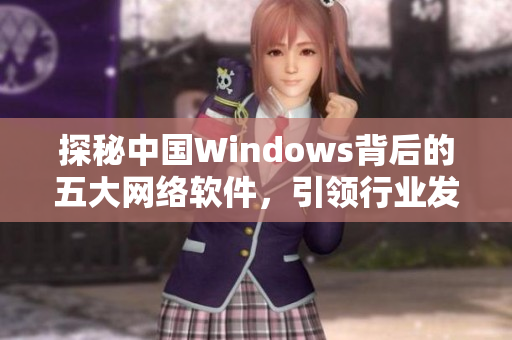 探秘中国Windows背后的五大网络软件，引领行业发展！