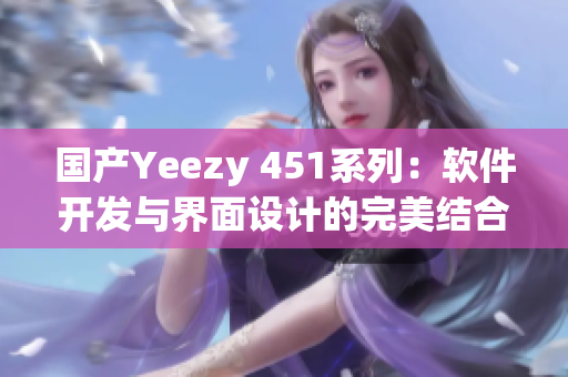 国产Yeezy 451系列：软件开发与界面设计的完美结合