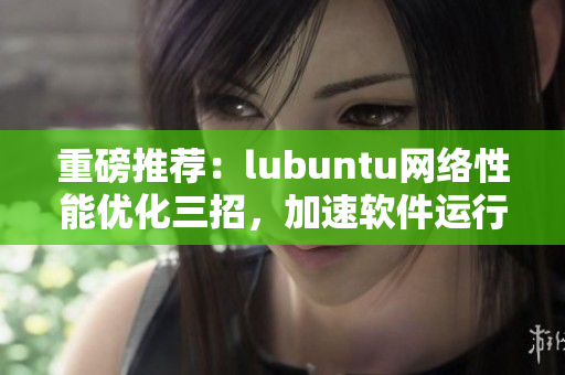 重磅推荐：lubuntu网络性能优化三招，加速软件运行！