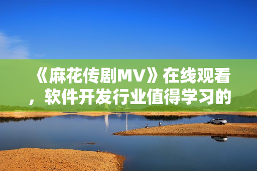 《麻花传剧MV》在线观看，软件开发行业值得学习的创意营销策略