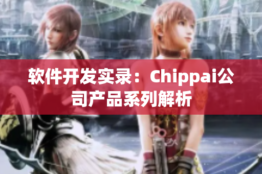 软件开发实录：Chippai公司产品系列解析