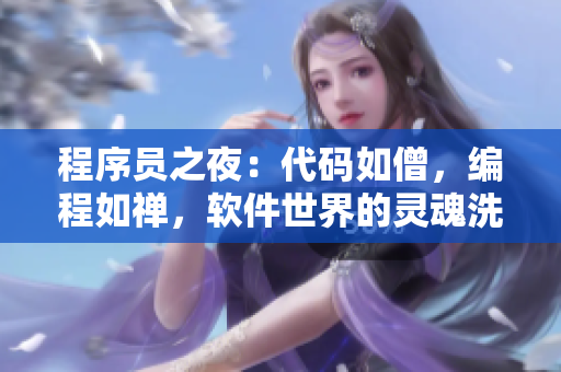 程序员之夜：代码如僧，编程如禅，软件世界的灵魂洗礼