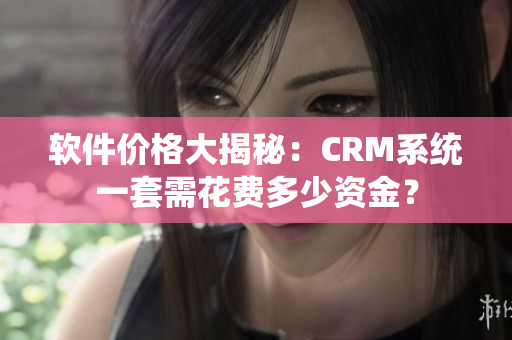 软件价格大揭秘：CRM系统一套需花费多少资金？