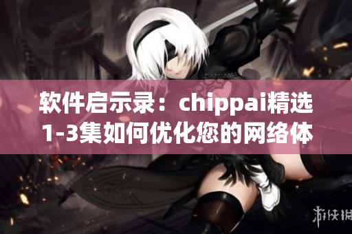 软件启示录：chippai精选1-3集如何优化您的网络体验