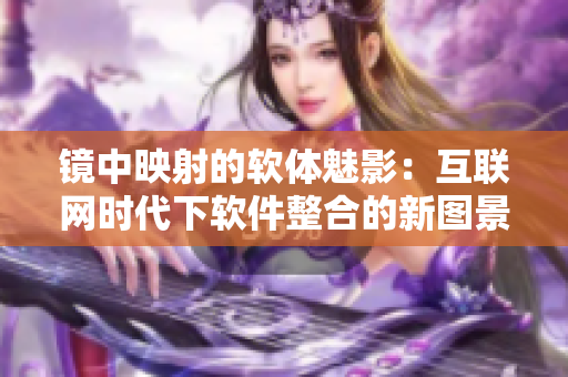 镜中映射的软体魅影：互联网时代下软件整合的新图景