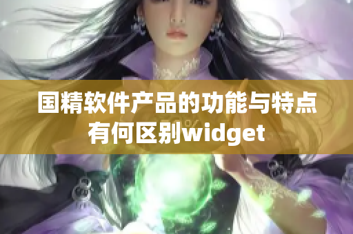 国精软件产品的功能与特点有何区别widget