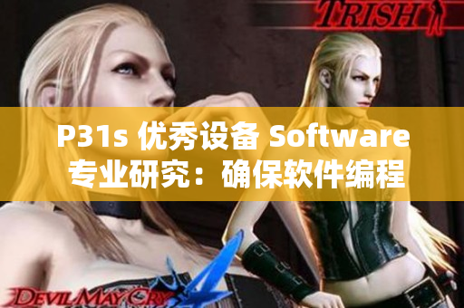 P31s 优秀设备 Software 专业研究：确保软件编程质量