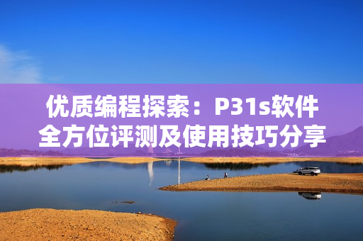 优质编程探索：P31s软件全方位评测及使用技巧分享