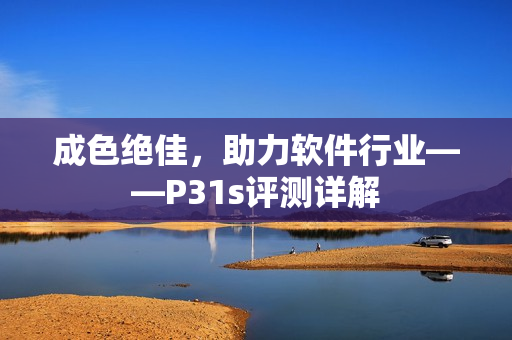 成色绝佳，助力软件行业——P31s评测详解