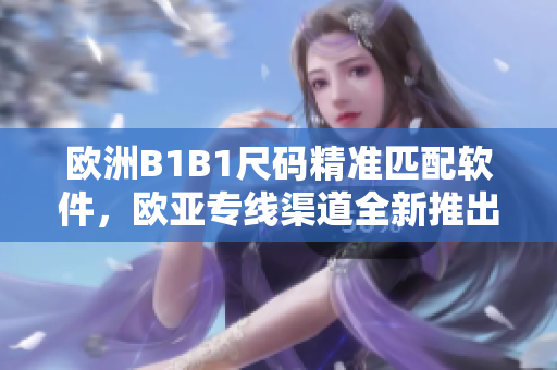 欧洲B1B1尺码精准匹配软件，欧亚专线渠道全新推出