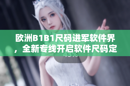 欧洲B1B1尺码进军软件界，全新专线开启软件尺码定制服务