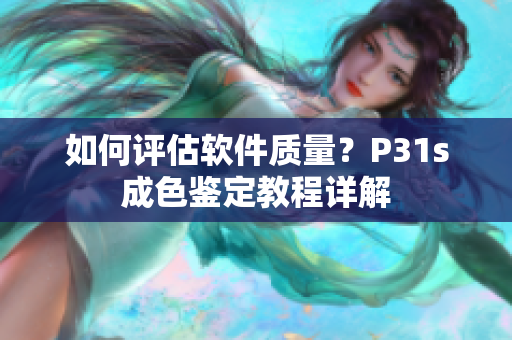 如何评估软件质量？P31s成色鉴定教程详解