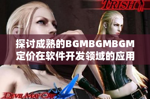 探讨成熟的BGMBGMBGM定价在软件开发领域的应用价值