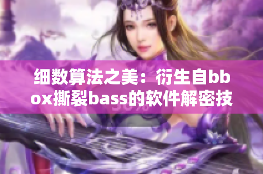 细数算法之美：衍生自bbox撕裂bass的软件解密技巧