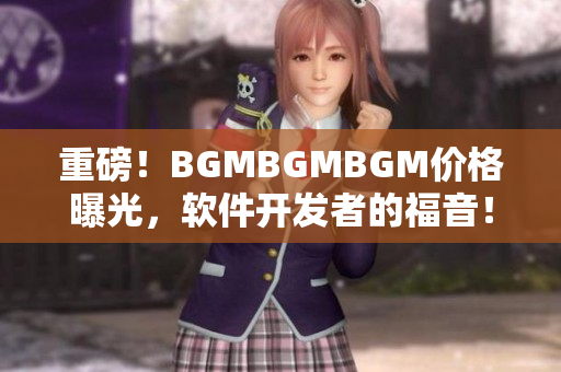 重磅！BGMBGMBGM价格曝光，软件开发者的福音！