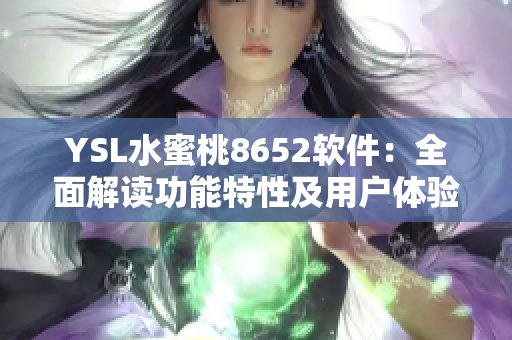 YSL水蜜桃8652软件：全面解读功能特性及用户体验