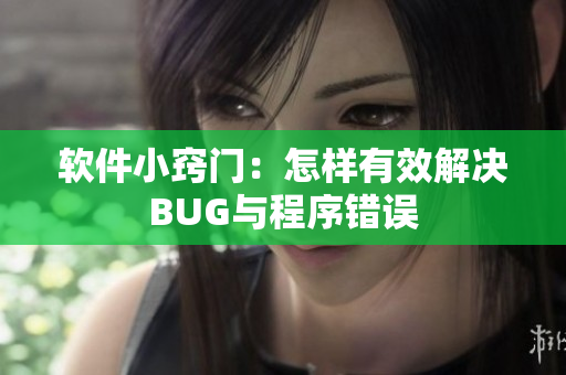 软件小窍门：怎样有效解决BUG与程序错误