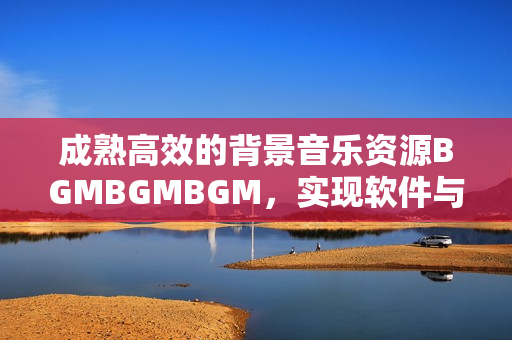 成熟高效的背景音乐资源BGMBGMBGM，实现软件与音乐的完美结合！