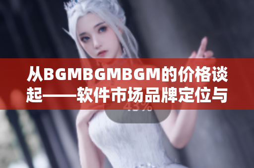 从BGMBGMBGM的价格谈起——软件市场品牌定位与价格策略探讨