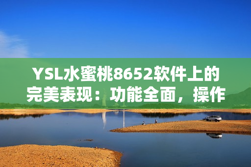 YSL水蜜桃8652软件上的完美表现：功能全面，操作流畅