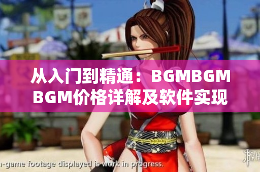 从入门到精通：BGMBGMBGM价格详解及软件实现方法