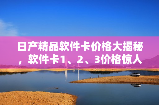 日产精品软件卡价格大揭秘，软件卡1、2、3价格惊人实惠