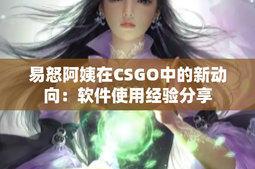 易怒阿姨在CSGO中的新动向：软件使用经验分享