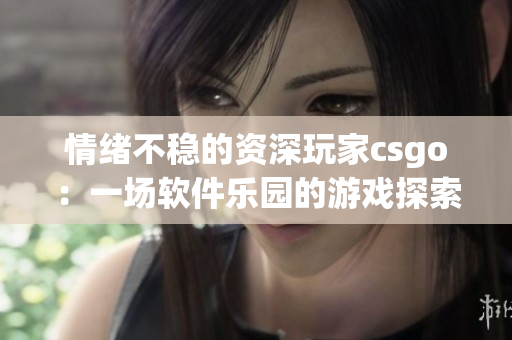 情绪不稳的资深玩家csgo：一场软件乐园的游戏探索