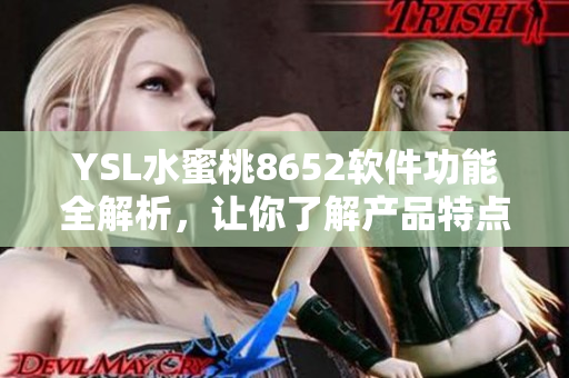 YSL水蜜桃8652软件功能全解析，让你了解产品特点