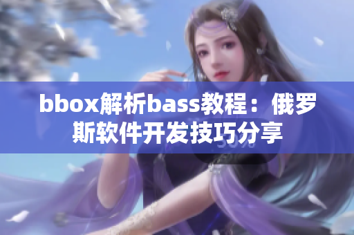 bbox解析bass教程：俄罗斯软件开发技巧分享