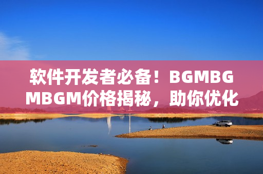 软件开发者必备！BGMBGMBGM价格揭秘，助你优化音效体验