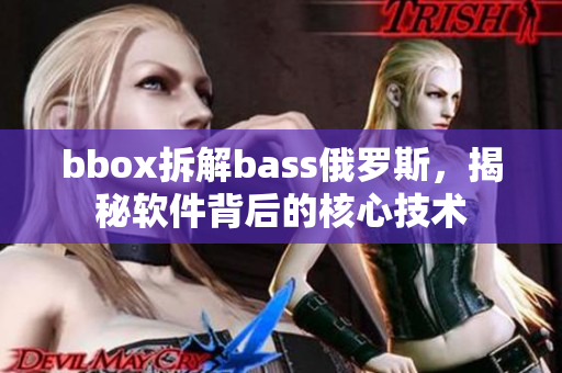 bbox拆解bass俄罗斯，揭秘软件背后的核心技术