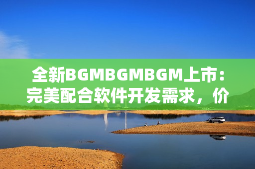 全新BGMBGMBGM上市：完美配合软件开发需求，价格实惠优惠！