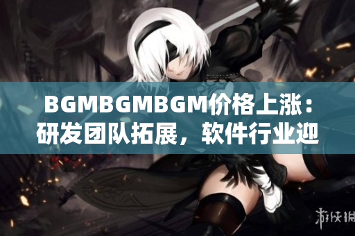 BGMBGMBGM价格上涨：研发团队拓展，软件行业迎来升级