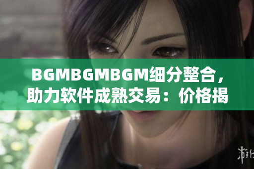 BGMBGMBGM细分整合，助力软件成熟交易：价格揭秘