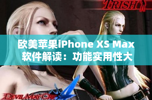 欧美苹果iPhone XS Max 软件解读：功能实用性大揭秘