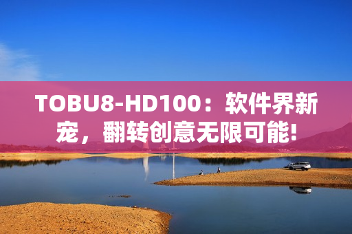 TOBU8-HD100：软件界新宠，翻转创意无限可能!