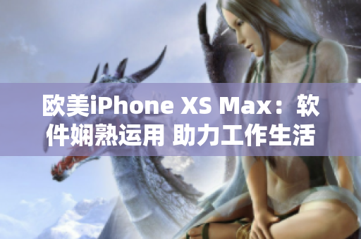 欧美iPhone XS Max：软件娴熟运用 助力工作生活